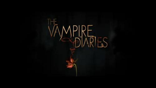  What do you think about me write a new story of The Vampire Diaries??????