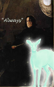  If you were to cast a Patronus Charm, what memories would you choose to do so ?
