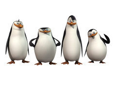  What wewe think the penguins would say if they see right now their humanized and female version?