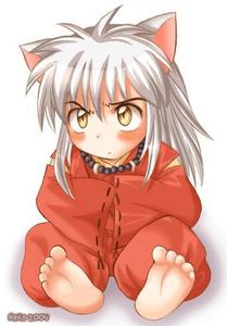 which picture of inuyasha do you thimk is the cuttest