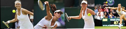  If あなた could acquire ONE テニス stroke from a 女子テニス協会 player, what stroke & from whom, would it be?