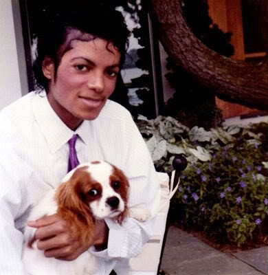 Whats your favorite Michael Jackson Thriller era picture? My favorite is this one.:D