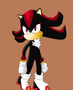  do あなた like Shadow the hedgehog? if so how much do あなた like him?