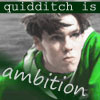  Who is this slytherin quidditch player?