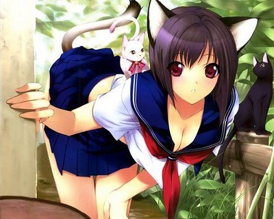 Post a pic of an anime with animal tail n ears..^^
