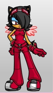 Andie:U could use mine her name is Midnight the hedgehog she is shadows sis and she is alot like him its almost like she is him except shes a girl and she has a soft voice like rogues voice her fav color is a reddish pinkish color and her fav song is soul eater theme 2  