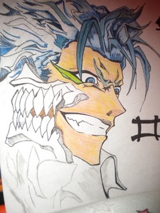 Number 6!!!!!
  Grimmjow Jeagerjaques
