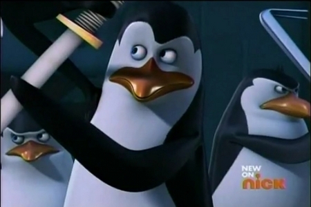 My celebrity crush is...a cartoon. 

It's Kowalski from the penguins of Madagascar! And Skipper, Rico, Private, and Julien.

Yes, they're cartoon animals, BUT YOU ASKED ME! XD