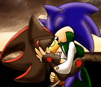 I'm more of a Sonamy fan But i still like sonadow But i Really doubt they would love eachother in sonic x they act more like enemies but i think they end up being friends in sonic x Well anyways shadow loves Maria but since she died he started to like Rouge but i still like sonadow so yeah they're kinda cute