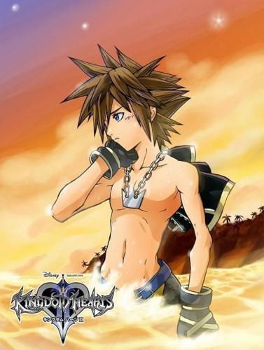 ♥SORA SORA SORA!!!♥v♥RIKU RIKU RIKU!!!♥ I can't choose!! Sora every since I first saw him he was SOOOO CUTE!!! I LOOVVEEE HIM! He REALLY cares for his friends! I really want a friend like him. NO! MORE! At least a boyfriend! He is SOO HOT!! Plus his personality is perfect! Funny, Nice, Protective,his naiveness and childness just like me! Not just to say I like him I AM like him! I would love to protect him and he protect me!♥ I never felt what it's like to be protected... Also I would say Riku too!! He is REALLY mature and CUTE!!♥ I feel REALLY bad for him. He was alone in darkness and went though much saying that he is supose to be darkness but HE IS NOT! I know what riku feels... to be alone and swallowed in darknes... I want to be there for him and help him! Help be his light though darkness and help him learn that.... Darkness, Light, or nothing...YOUR STILL A FRIEND! No matter what happens, No matter what you went though I can help! I want him to trust and stop pushing away other... 
Anyway I really want to be with both. It's... hard to choose... I already made what I would look like in Kingdom Hearts! My name is Iris, weild 2 swords, and live on the Island with Sora, Riku, and Kairi!♥v♥