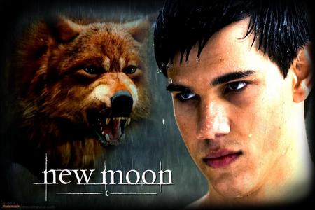  TEAM JACOB all the way coz:- .he's fitt .I like my men hot not sparkley .he brings the humour to the প্রণয় ত্রিভুজ .he's happy, jolly and cheerful .he's warm...literally .he's a নেকড়ে .he's got his own pack (well sam uley's,supposed to be Jacobs) .He's always there for আপনি when someone breaks your হৃদয় .he's a mechanic .AND SIMPLEY, HE'S JUST JACOB! :D my sexy নেকড়ে boy...love ya...xmwahx