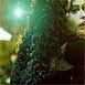 Bellatrix Lestrange

I like Bellatrix Lestrange because shes so crazy and funny (in a dark evil way) shes pretty and powerful strong and brave. loyal and devoted (to those she cares for, like Voldy and Cissy) She also seems to look out for Cissy. i ♥ Bella she rocks. 


