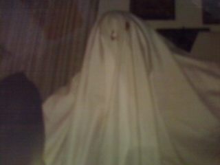 Do what I did when I couldn't think of anything a few years ago. Just bye a white bed sheet and cut two holes in it. INSTANT GHOST!! XD

That's a pic of me on Halloween! lol!