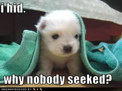  nobody seeked...
