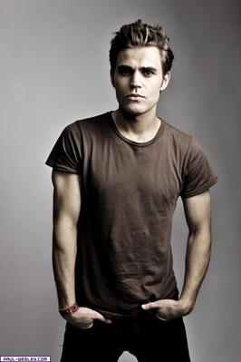 team stefan cus he's like seriously the perfect vampire boyfriend <3