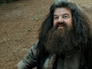  There have been a good amount of 'who would Ты marry' Вопросы on here. And I will always answer Hagrid. Gives me a chance to post a picture of him to Показать off that amazing beard. Enjoy.