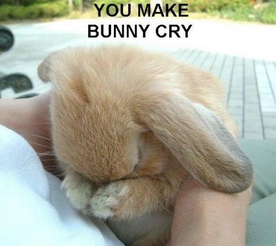 Mean people are just doing it because they have nothing better to do... ='( Mean people make bunny cry =)