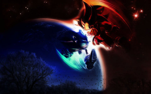  sonic and shadow the hedgehog!
