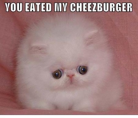  becous someone eated ur cheezburger