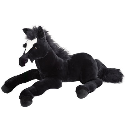 This is my favorite stuffed animal. This beutiful horse is so soft and great to cuddle with. 