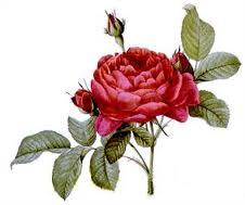  Mine's called "Leah's rose (contest entry)" if wewe research it here (sorry, don't know how to make a link D:) Good idea kwa the way. It also has a picture like dis V