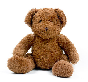  Courtney's teddy beruang