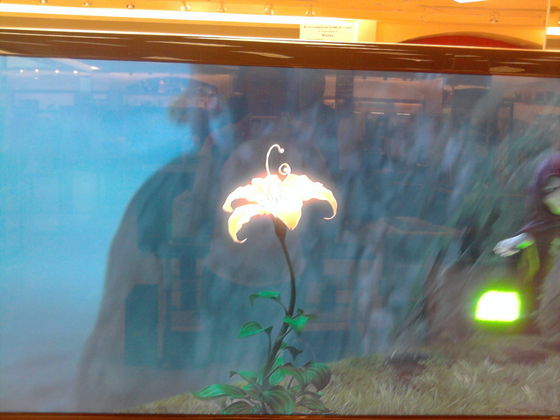If you're not to convinced about the "lanterns" here it is the magic flower! is the same exact thing I love it! ^^