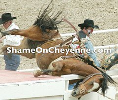  Another victim of Cheyenne Frontier Days rodeo.