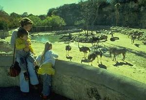  The San Antonio Zoo