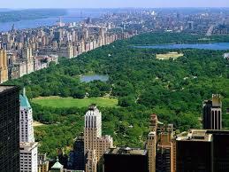  "The sun shone brightly over Central Park, the famous tourist attraction of New York."