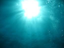  The sun looked beautyfull from underwater.
