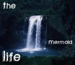  The Mermaid Life Pic