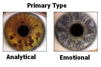  1: Primary Types