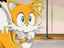 Tails, our fluffy furry freind, posible father