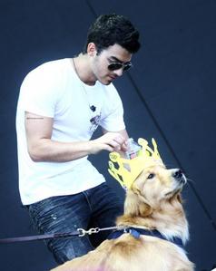  Joe Jonas with Nick Jonas's dog Elvis