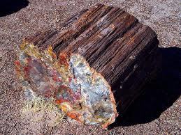 Giving آپ an idea of petrified wood.