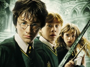  The 3 main characters: (From left to right) Harry, Ron and Hermione. [Image from the 'Chamber of Secrets]
