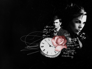  the doctor and rose.