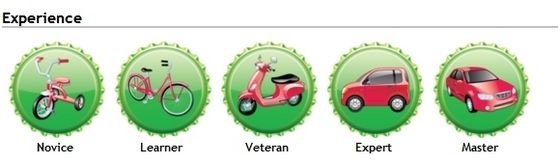  badges in the "Experience" catagory