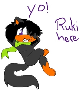  Rukiakittycat1 character, Ruki was tested and results is she is Borderline Mary-Sue D: