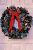 no.62 door with a christmas wreath on it!  no.63 pic of Criminal Minds cast!