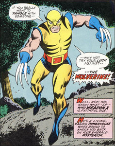  Are these just X-whatever-team-we-are-this-week costumes o what? This is one I found for Wolverine.