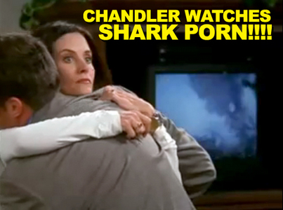 Rachel: man sharks I always knew there was something weird about that dude. But you promised to lov