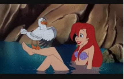 Here you go! Now find a fan art of Ariel and Scuttle. 