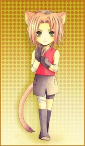 ^ XD haha how funny

I think this is the only picture I think Sakura looks cute in XD