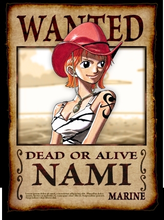 I like this picture of Cowgirl Nami! Cowgirl Nami..I like the sound of that!XD