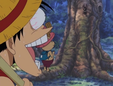 haha Luffy is the only character I've seen that was excited to see a beetle!..besides the fact it was