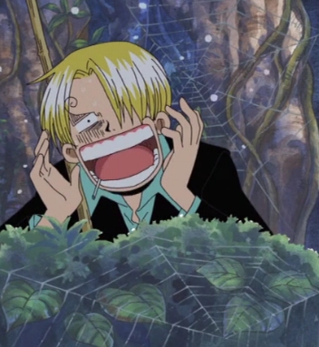 He he..I love the look on Sanji's face!XD like him and Nami,I hate Spiders too!X3