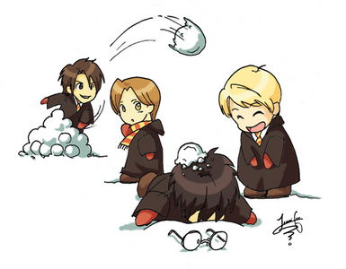 And here's the marauders with snow. Credit netang4da1iluv.

Next find a picture of Bill/Fleur.