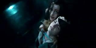  Hermione's torture. Bill and FLuer